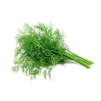 Fresh Dill Weed