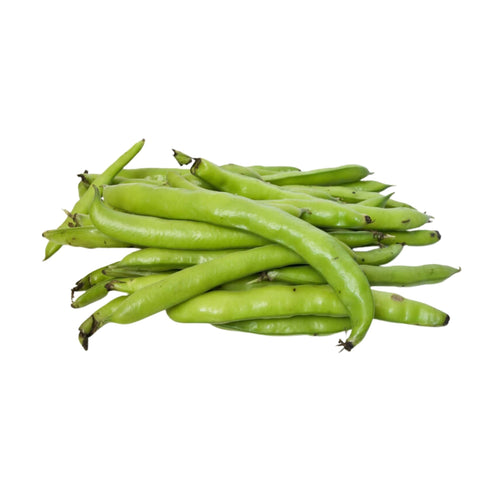 Beans Fava