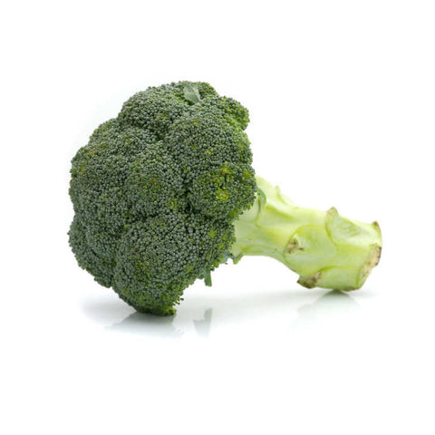 Broccoli Organic
