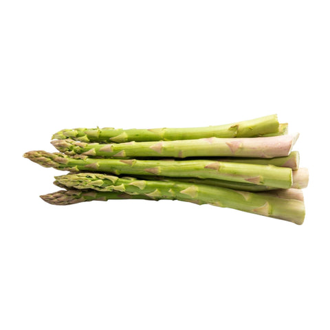 Asparagus Green Large