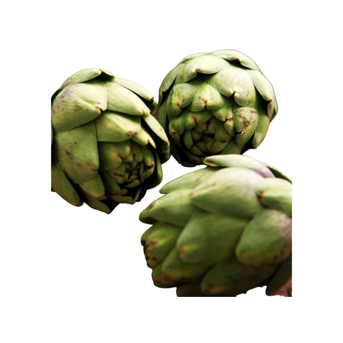 Artichokes Baby