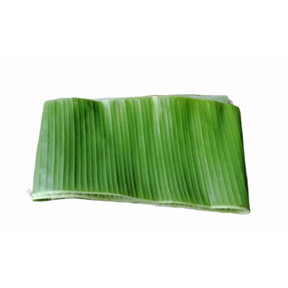 Banana Leaves