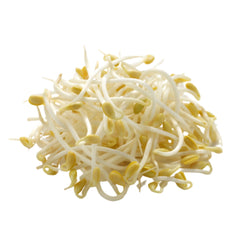 Bean Sprouts