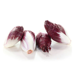 Endive Belgium Red