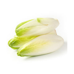 Endive Belgium White