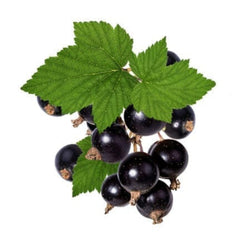 Black Currants