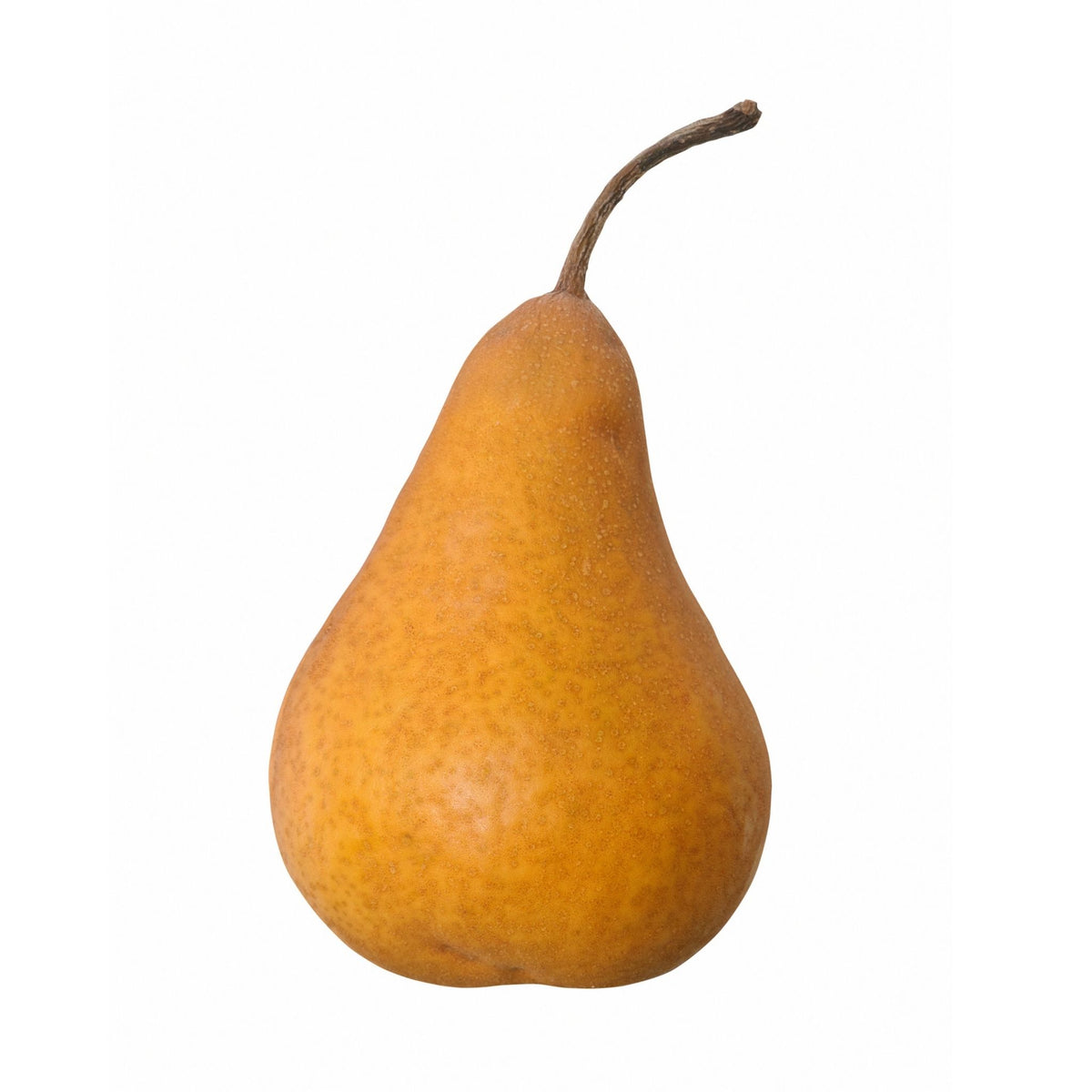 Bosc Pear