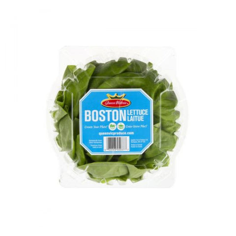 Lettuce Boston Hydro