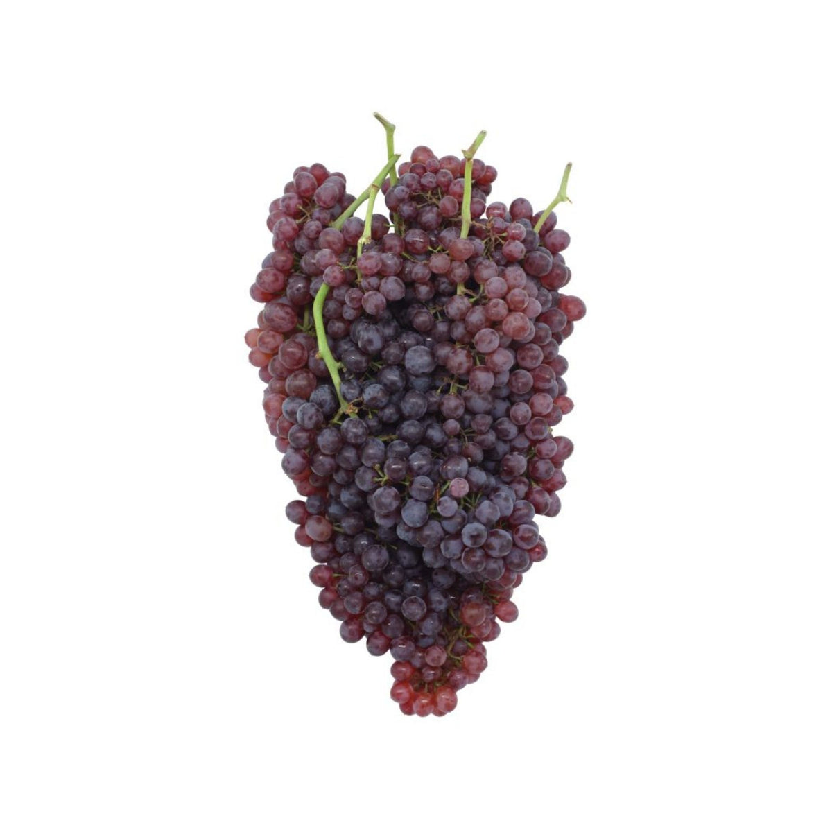 Champagne Grapes