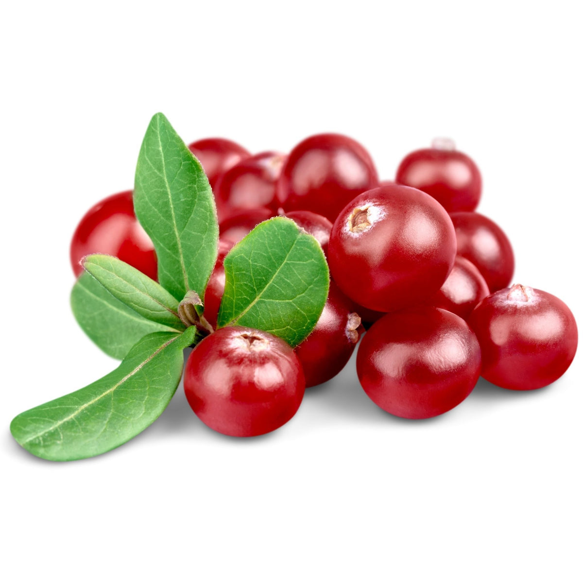 Cranberry