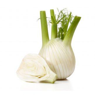 Fennel