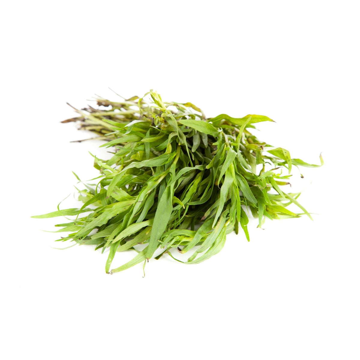 Fresh Tarragon