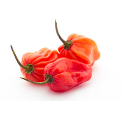 Habanero