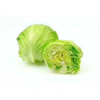 Iceberg Lettuce