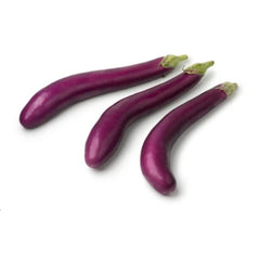 Japanese Eggplant