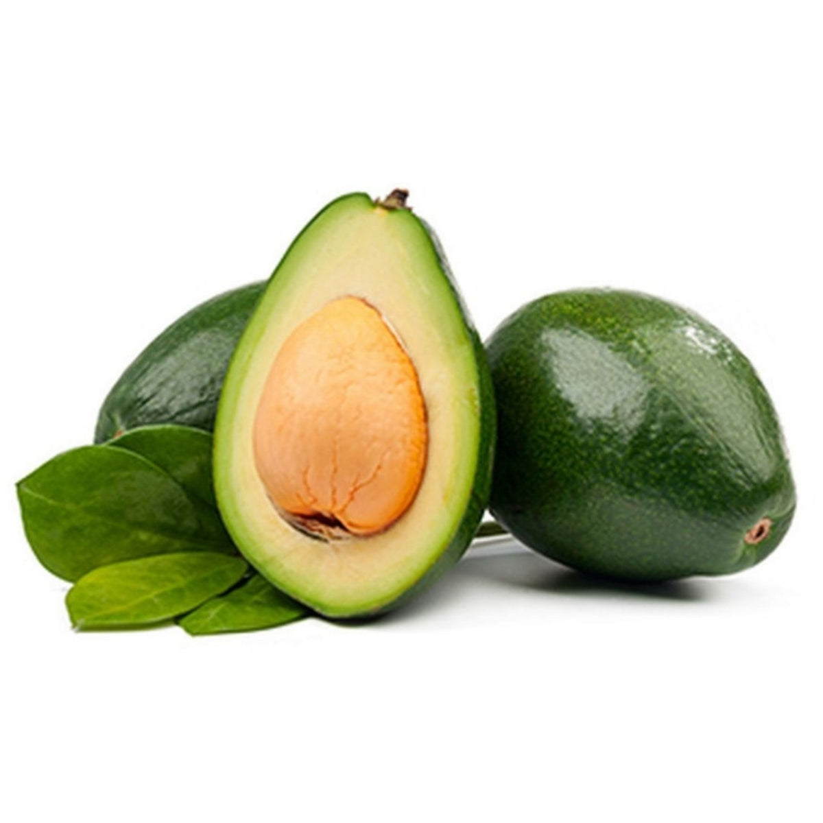 Avocados Jumbo