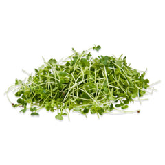 Micro Arugula