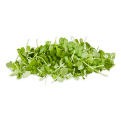 Micro Basil