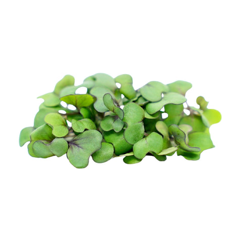 Micro Cabbage Green