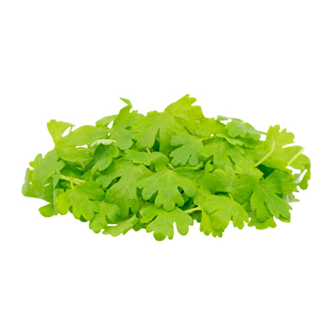 Micro Celery