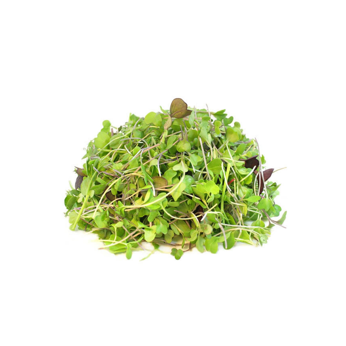 Micro Greens Medley