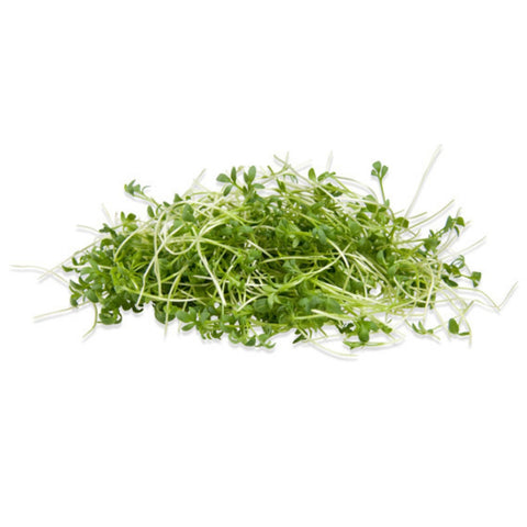 Micro Pepper Cress