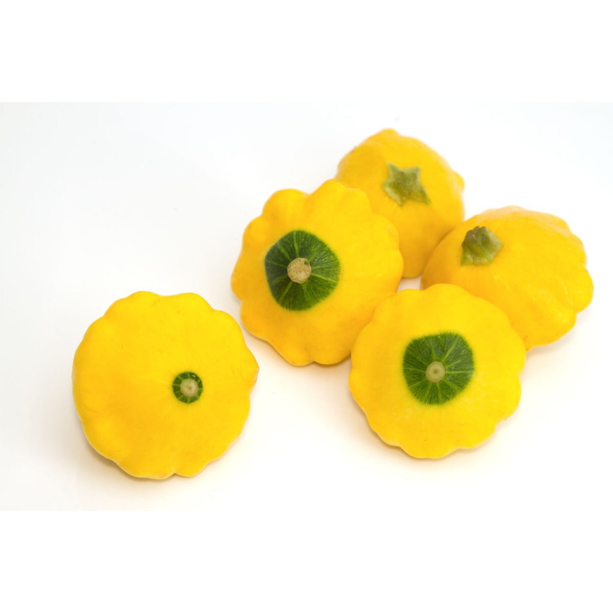 Patty Pan Yellow (Sunburst)