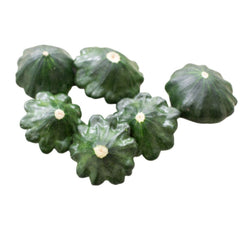 Patty Pan Green