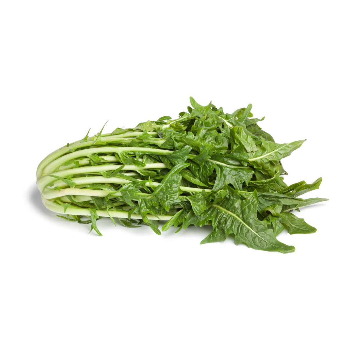 Puntarelle