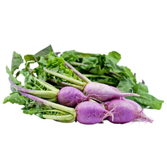 Radish - Purple Ninja