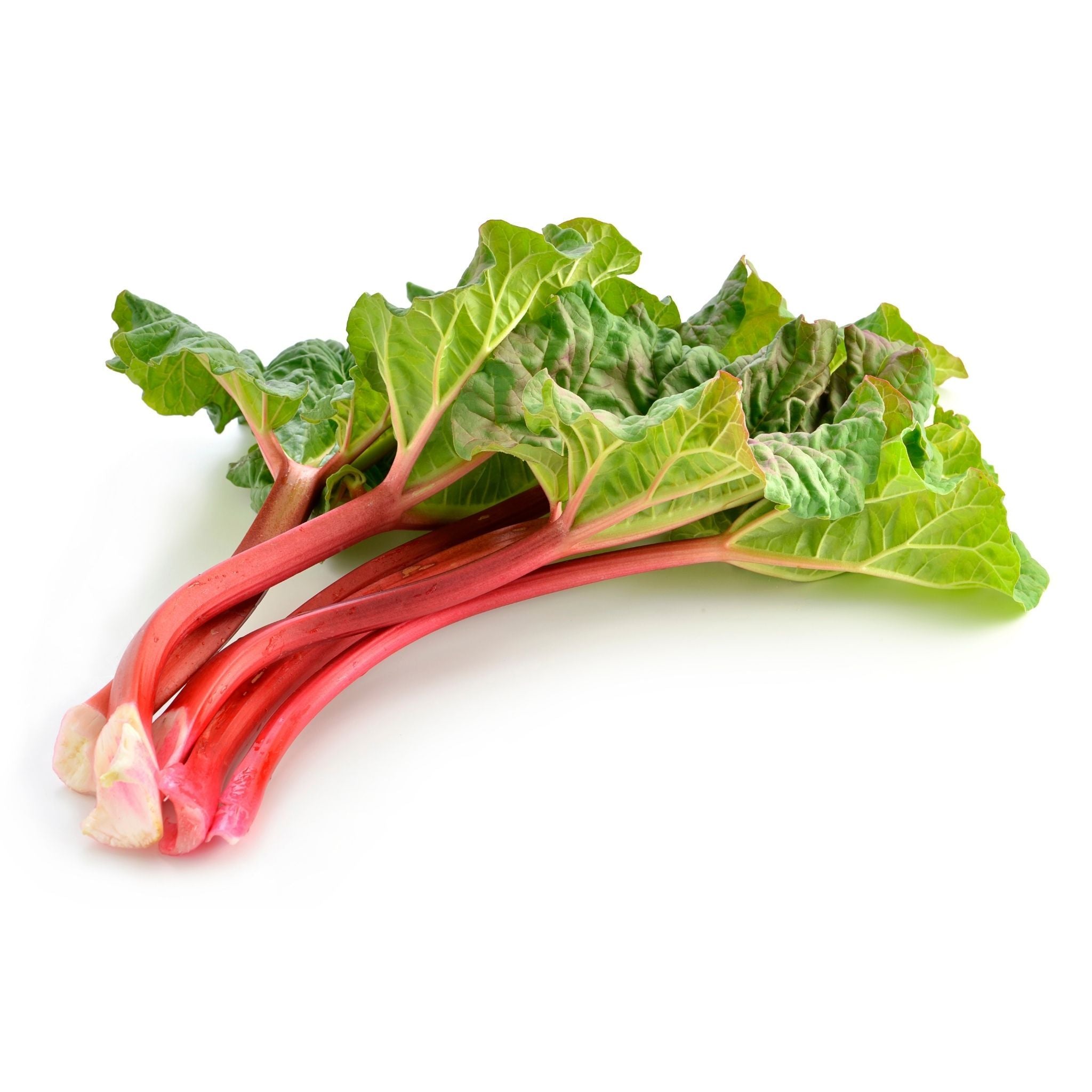 Rhubarb