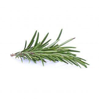 Fresh Rosemary