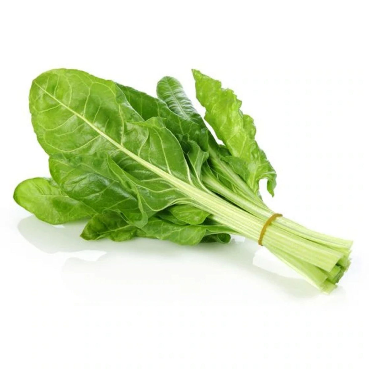 Swiss Chard Green