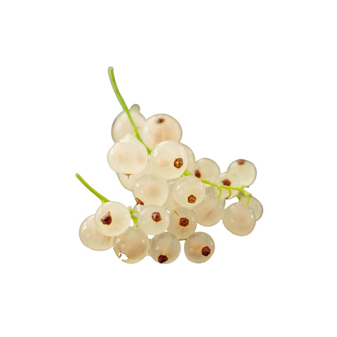 White Currants
