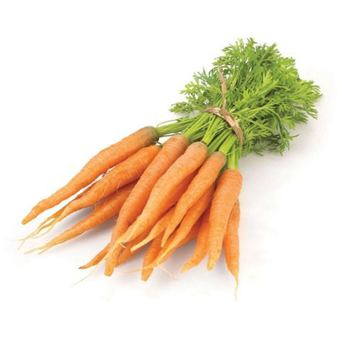 Carrots - Baby wtih Tops