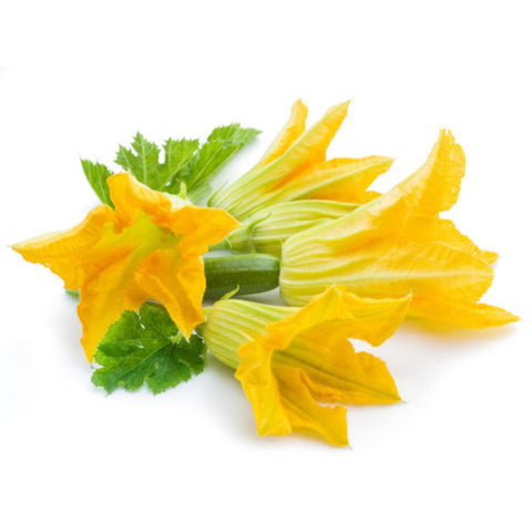 Zucchini Flower (Local)