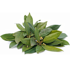 Fresh Bay Leaves