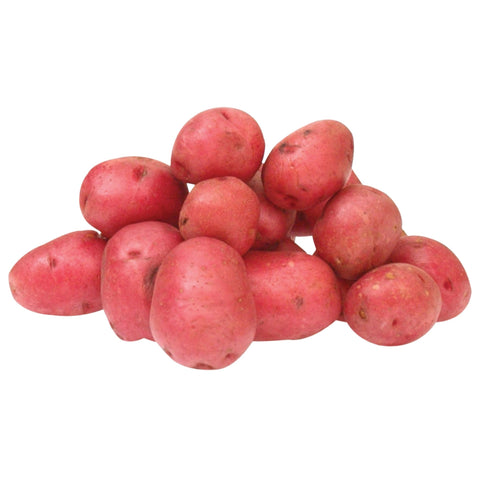 Red Large Potatoes