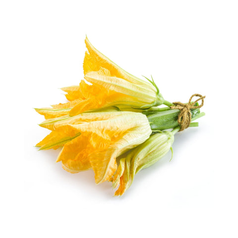 Zucchini Flower